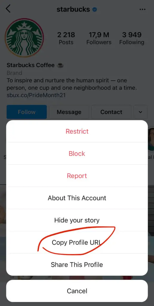 how to get a link to instagram profile