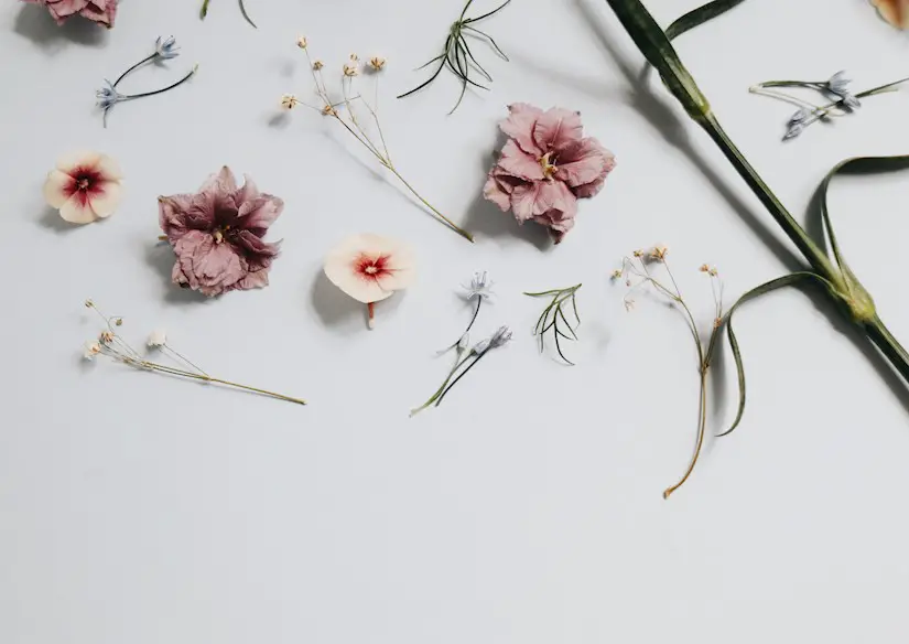 cute minimalist flowers wallpaper