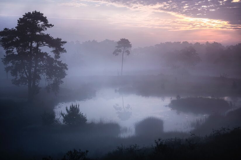 A Complete Guide to Fog Photography: 11 Tips & Ideas - Onedesblog