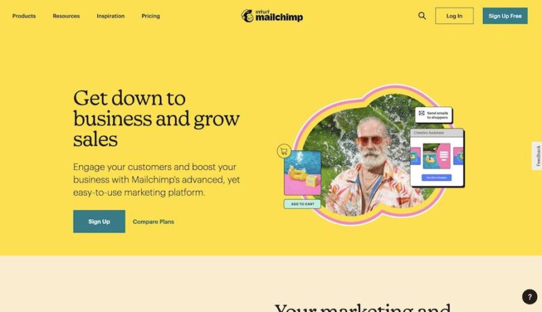 Mailchimp Support and Training for Businesses scaled 2