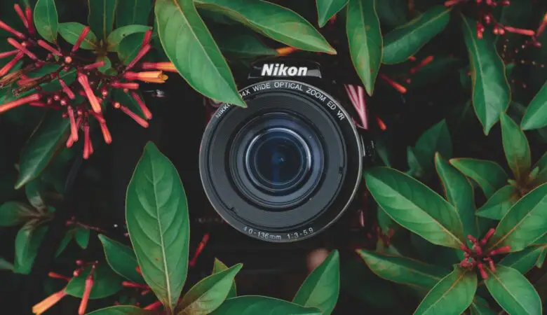 aryan dhiman 3HWNrW9AEE0 unsplash